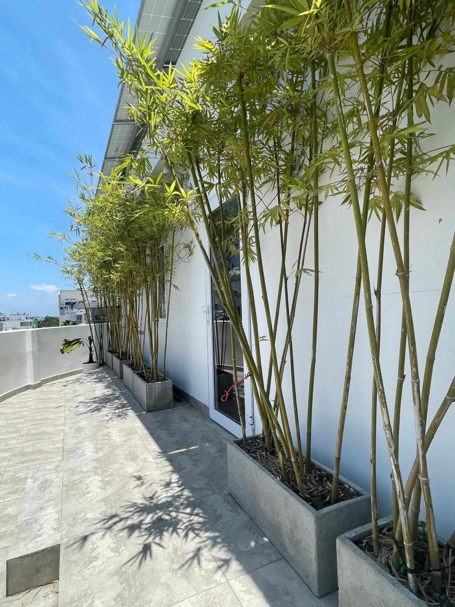 The Ck Hotel Chau Doc Exterior photo